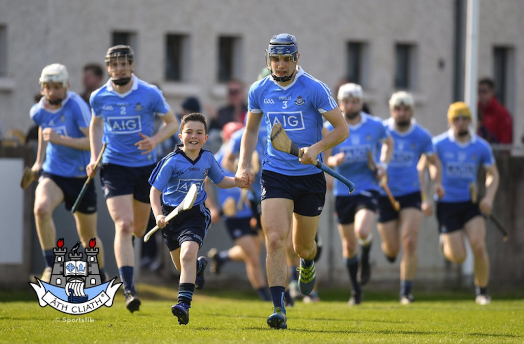 Senior hurlers hoping to maintain run in Laois duels