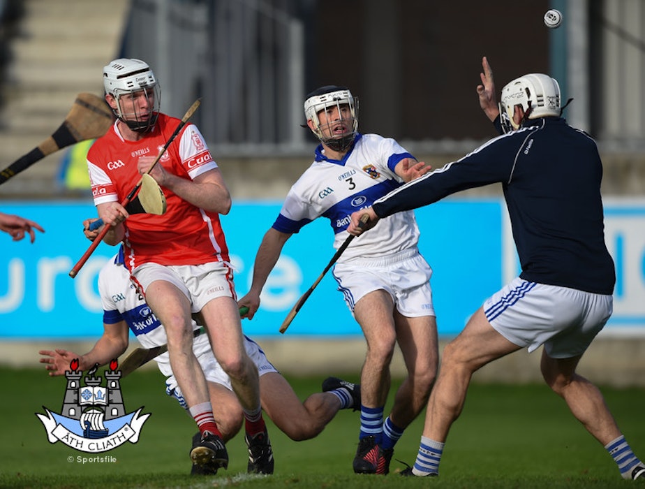 Cuala dig deep to see off Vins and reach SHC final