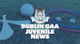 Dublin GAA Juvenile update Tuesday 26th March