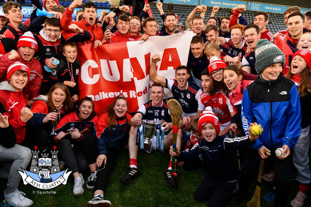 Cuala out in front in Dublin Bus/Herald Dubs Stars hurling nominations