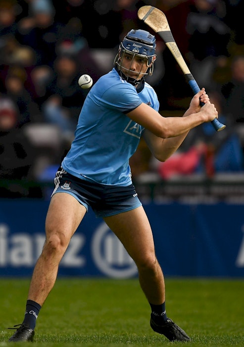 Friends Of Dublin Hurling Celebration Night To Take Place Later This Month