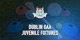 Dublin GAA Juvenile Fixtures for Saturday/Sunday March 12th/13th