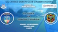 PREVIEW: Go-Ahead Senior 2 Hurling Final 2023- St Judes v Craobh Chiaráin